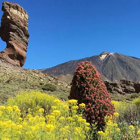 شقة For 4 People In Tenerife, Cleaning Included